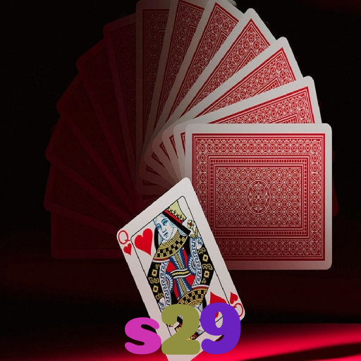 s29