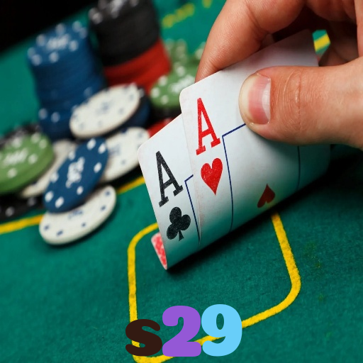 s29